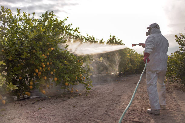 Pest Prevention Services in East Berlin, PA