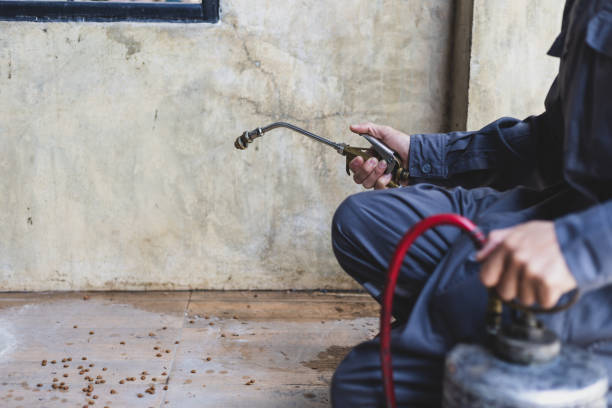 Best Local Pest Control Services  in East Berlin, PA